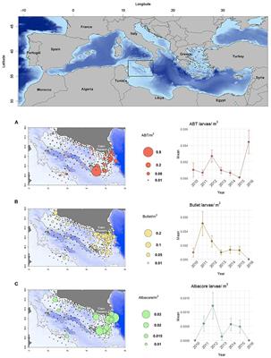 Unveiling the Relationship Between Sea Surface Hydrographic Patterns and Tuna Larval Distribution in the Central Mediterranean Sea